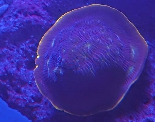 20260328_194705.jpg