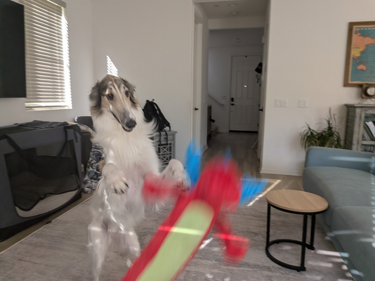 1774800223573.png