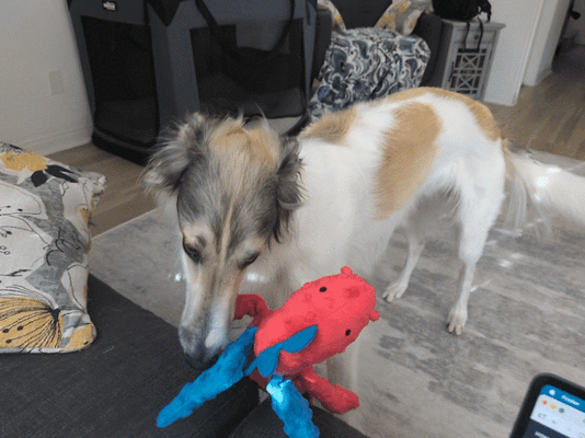 PXL_20260329_155232564_exported_stabilized_1774799869723.gif