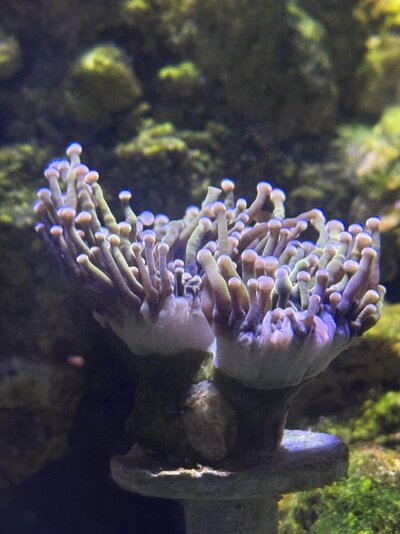 IMG_0936.jpeg