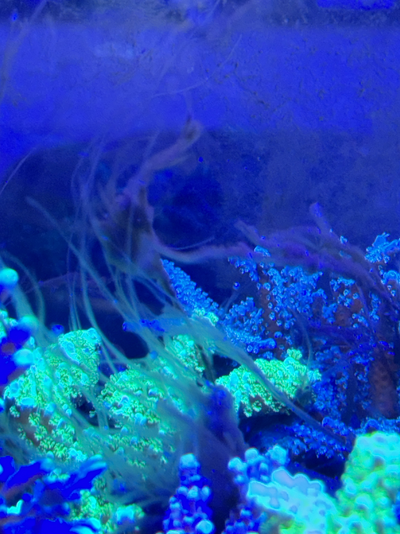 20260401_001440_83B6B6F4-74BA-40D5-8940-298DE2565B6F.png