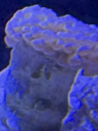 20260401_130132_D868CB1F-89E9-4FF7-93E2-831BDF9BB58D.png