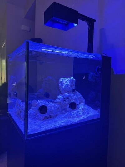 image14.jpeg