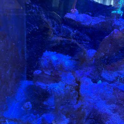 20260402_105825_5924D1C1-2A77-49D1-A925-5546B840C944.png