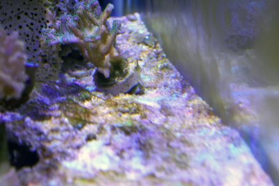 P1010531.JPG