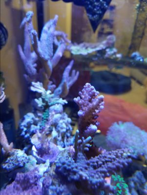 20170226_171113.jpg