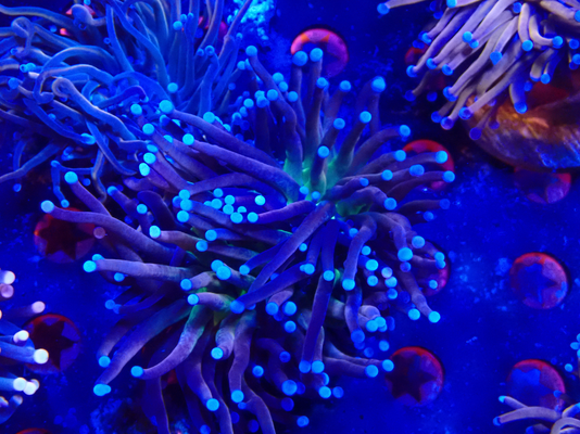 20260409_221503_65C85821-F529-41E0-A012-E42913F58E0F.png