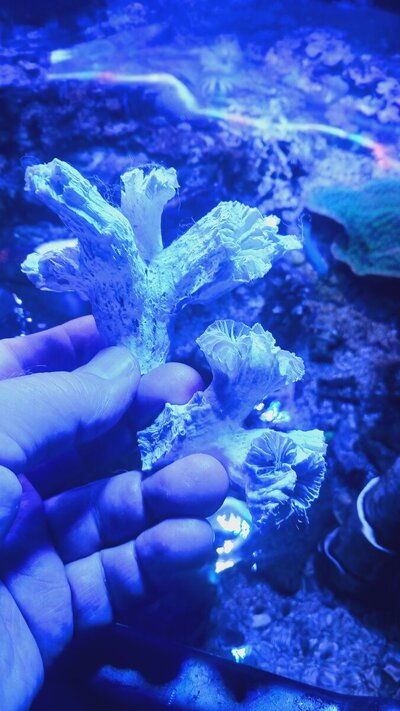 20260410_103324.jpg