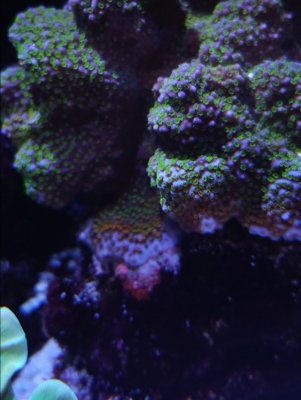 20170227_174238.jpg