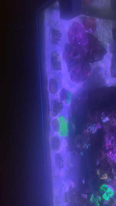 20260417_202724_9390560C-489D-4DE6-B88C-D6A93F7BE7CB.png