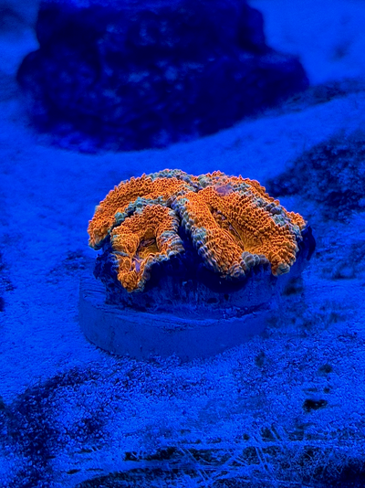 20260419_234726_D88DBC0F-D26E-46B8-8652-34AC966C303F.png