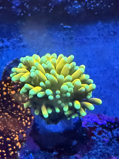 20260421_101307_6F8C0E48-B90E-49AE-9CFF-0CE18F93E513.png