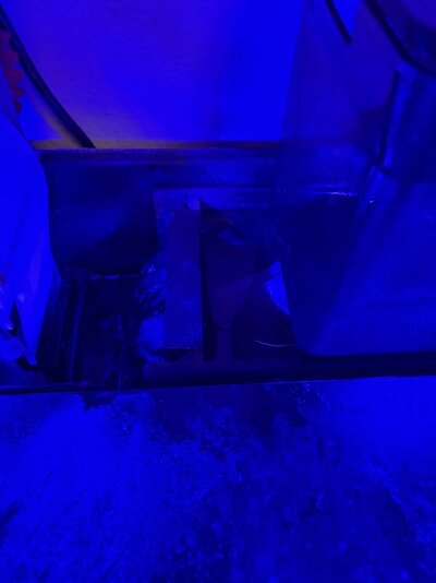 IMG_6755.jpeg