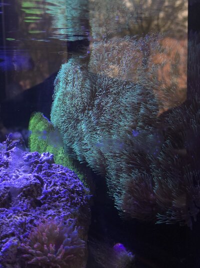 20260422_152147.jpg