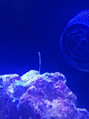 20170301_121140.jpg