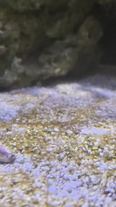 20260508_160400.jpg