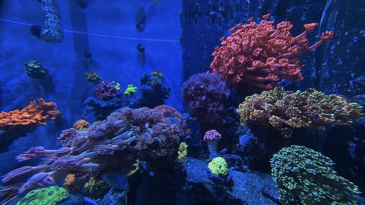 AquaCam_263052D7.jpeg
