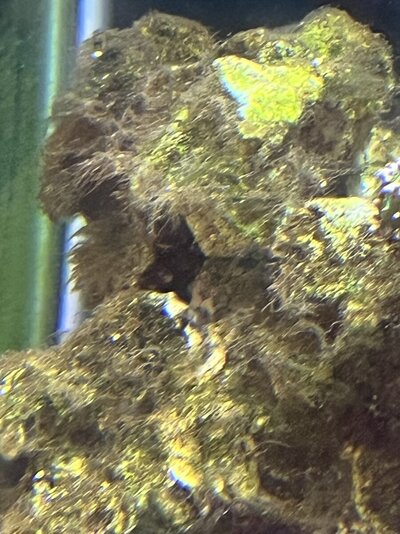 IMG_4047.jpeg IMG_4047.jpeg