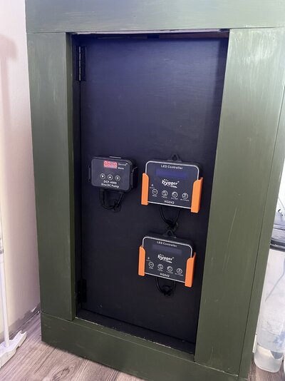IMG_3141.jpeg