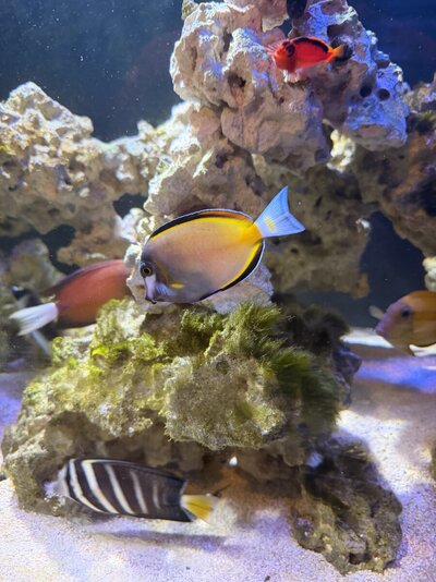 IMG_3515.jpeg
