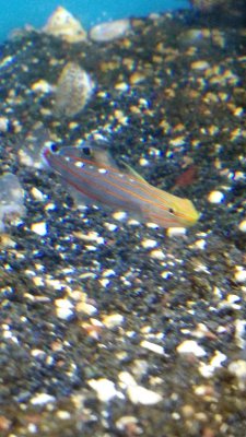 IMG_20170305_142955471.jpg
