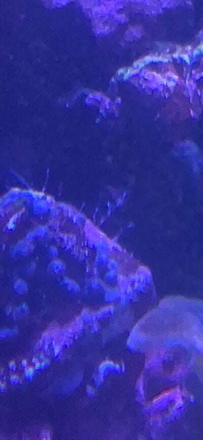 20260529_185341.jpg