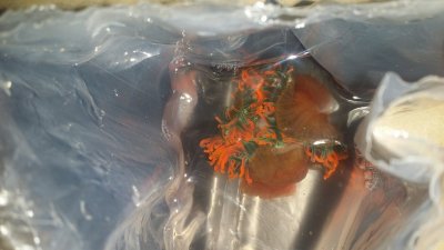 20170301_101600.jpg