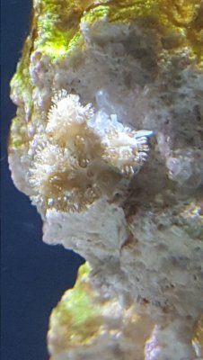 20170313_121535.jpg