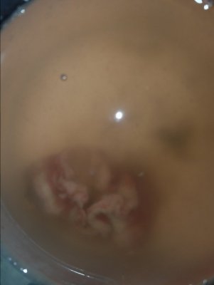 20170308_093054.jpg