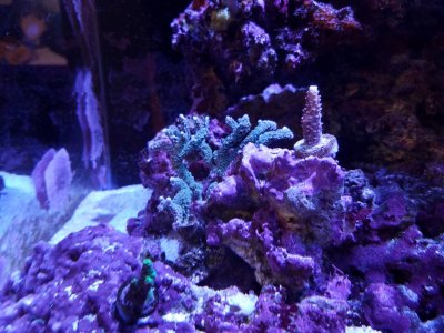20170313_184039.jpg