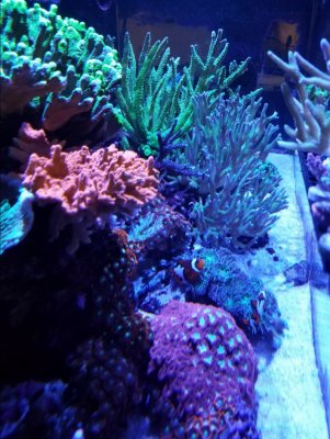 20170313_184301.jpg