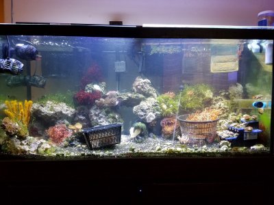 20170313_163724.jpg