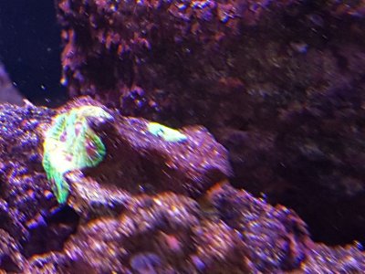20170310_155253.jpg