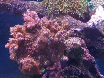 20170310_155351.jpg