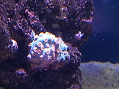 20170310_155406.jpg