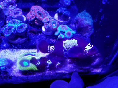 20170320_234345.jpg