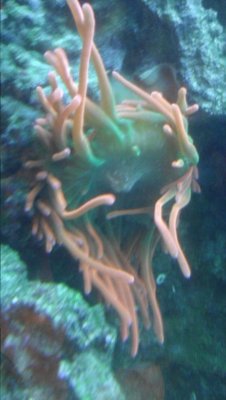 20170413_205920.jpg