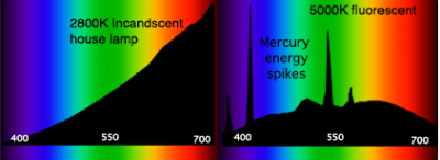 Spectral_Power_Distributions.png