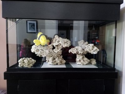 20170223_155559.jpg
