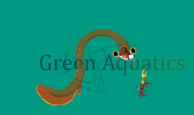 Green Aquatics logo watermark.jpg