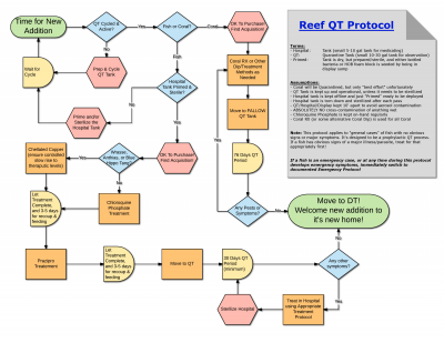 Reef QT Protocol - V2.png