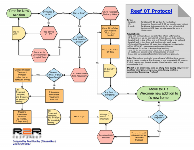 Reef QT Protocol - V3.png