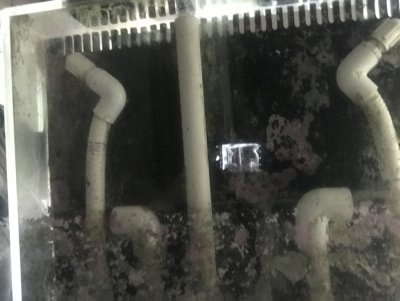 behind the overflow.jpg