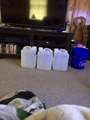 Empty RODI Water Buckets.jpg