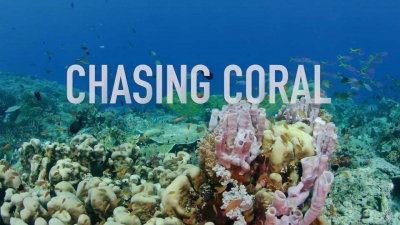 Chasing Coral opens eyes, by documenting coral bleaching