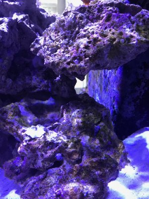 IMG_0356.jpg
