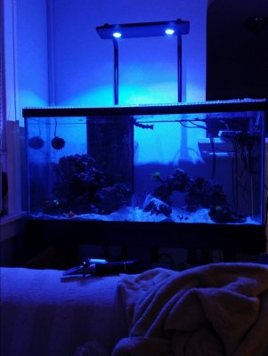 20170926_213641.jpg