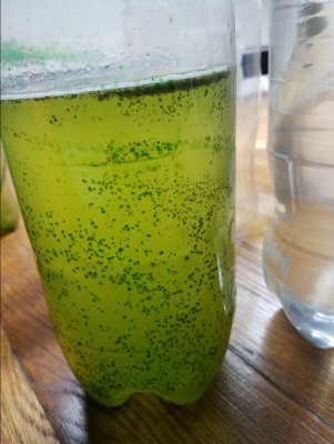 20170930_013521.jpg