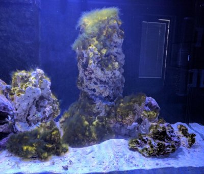 StonePillar.jpg