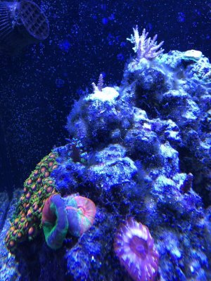 A20D49B3-D33C-4142-AC98-98D806E20C68.jpeg